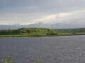 Купить землю с/х назначения, 45.55 га. Фото 4