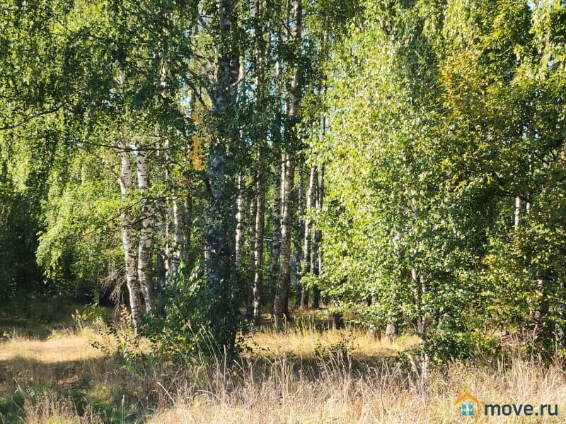 земля под ИЖС, 15 соток