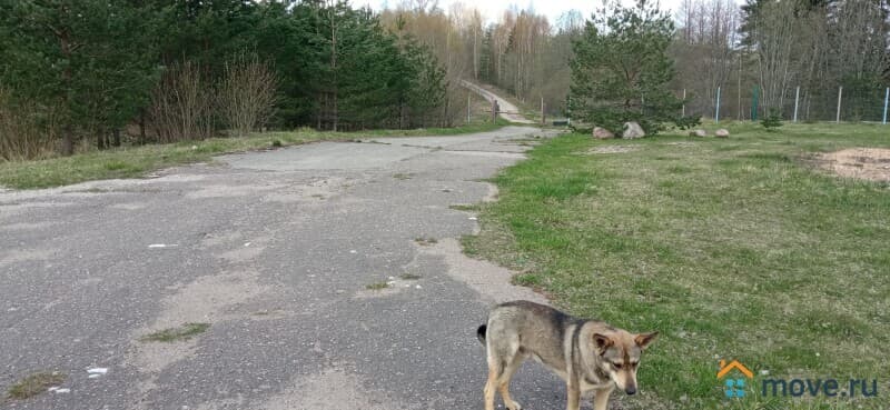 свободного назначения, 39017 м²