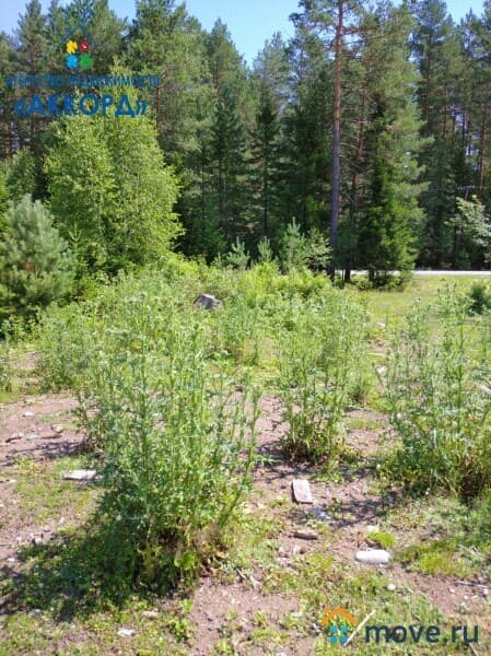 земля под ИЖС, 10.5 сотки