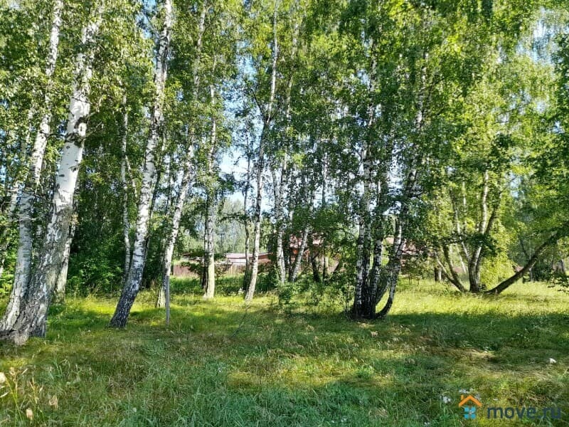 земельный участок, 31 сотка