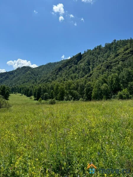 земля с/х назначения, 3.5 га