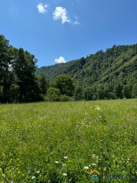 земля с/х назначения, 3.5 га