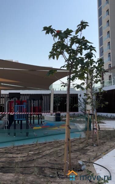 студия, 31.6 м²