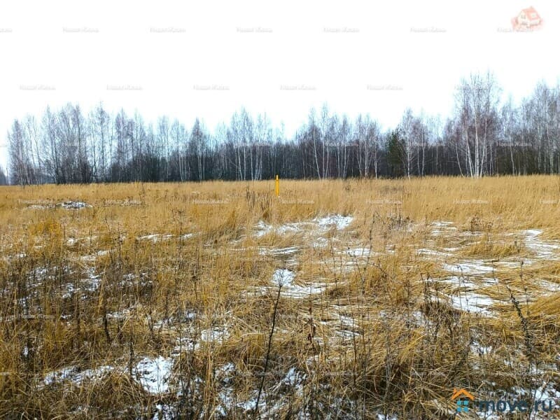 земельный участок, 25 соток