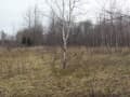 Продам землю с/х назначения, 2.55 га. Фото 6