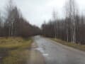 Продам землю с/х назначения, 2.55 га. Фото 8