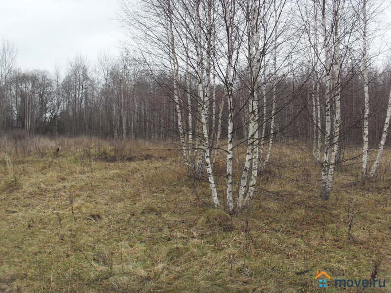 земля с/х назначения, 2.55 га