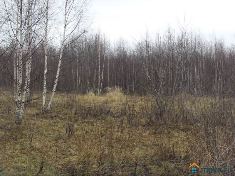 земля с/х назначения, 2.55 га